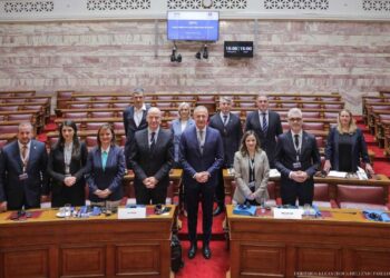 Ο Στάθης Κωνσταντινίδης, στη Συνέλευση των κρατών της ΝΑ Ευρώπης