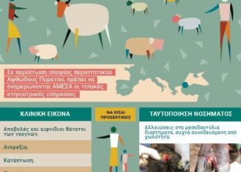 Η Διεύθυνση Κτηνιατρικής της Περιφέρειας Δυτικής Μακεδονίας ενημερώνει για τον Αφθώδη πυρετό