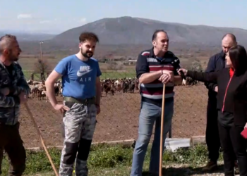 Κοζάνη: Κτηνοτρόφοι στο αυτόφωρο επειδή «σπάνε» την καραντίνα και βγάζουν τα κοπάδια τους έξω – Βίντεο