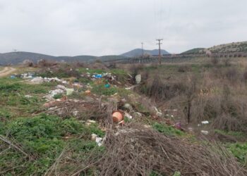Γιώργος Χριστοφορίδης:Πύργοι Εορδαίας: Παραγωγοί πρότυπο – Περιφέρεια απούσα