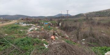 Γιώργος Χριστοφορίδης:Πύργοι Εορδαίας: Παραγωγοί πρότυπο – Περιφέρεια απούσα