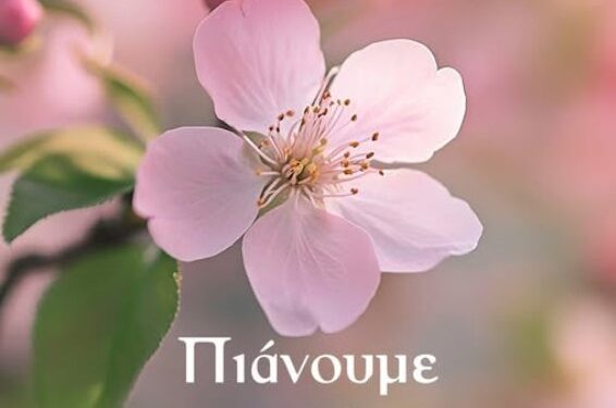 Καλωσορίζουμε την άνοιξη στο Βόιο στο Μικρόκαστρο