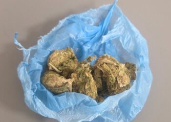 Γρεβενά:  19χρονος συνελήφθη για κατοχή ναρκωτικών ουσιών, σε περιοχή των Γρεβενών