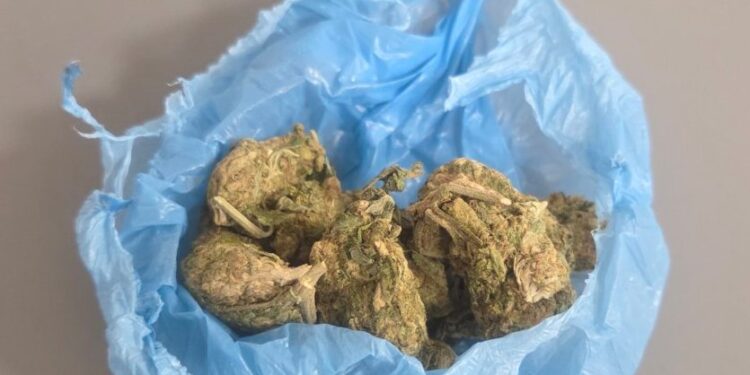 Γρεβενά:  19χρονος συνελήφθη για κατοχή ναρκωτικών ουσιών, σε περιοχή των Γρεβενών