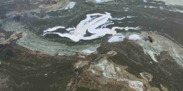 Αυτοψία στη λίμνη Πολυφύτου – Συλλογή δειγμάτων και έρευνα  για τον επιφανειακό αφρισμό