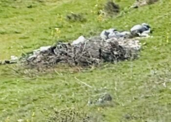 Σιάτιστα: Πέταξαν σακούλες με σκουπίδια ή μπάζα και τα κάλυψαν