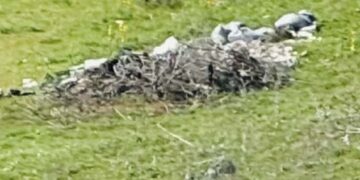 Σιάτιστα: Πέταξαν σακούλες με σκουπίδια ή μπάζα και τα κάλυψαν