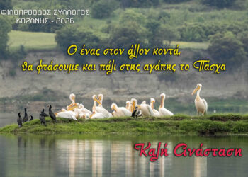 Φιλοπρόοδος Σύλλογος Κοζάνης: Κοινωνική Δράση «Πασχαλινά Δέματα 2026»