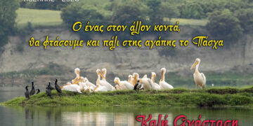 Φιλοπρόοδος Σύλλογος Κοζάνης: Κοινωνική Δράση «Πασχαλινά Δέματα 2026»