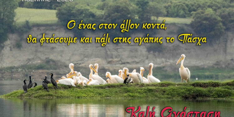 Φιλοπρόοδος Σύλλογος Κοζάνης: Κοινωνική Δράση «Πασχαλινά Δέματα 2026»