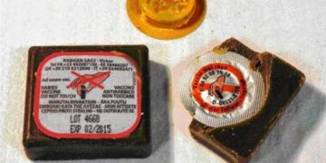 Έναρξη των εμβολιασμών από αέρος για τη λύσσα… ( Ενημέρωση του Κυνηγετικού Συλλόγου Σιάτιστας)