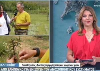 Από την Θεσσαλονίκη, καλλιεργητές βοτάνων στην Ομαλή Βοΐου