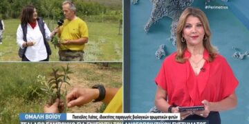 Από την Θεσσαλονίκη, καλλιεργητές βοτάνων στην Ομαλή Βοΐου