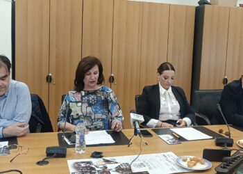 Παρουσιάστηκε το πρόγραμμα των εκδηλώσεων «Μέρες Γιορτών Βοΐου – Πέλεκον 2026» – Δέκα χρόνια πολιτισμού, μνήμης και παράδοσης (Βίντεο)