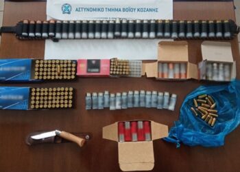 Βόιο: 37χρονος είχε ποικιλία από σφαίρες και συνελήφθη