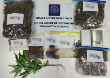 Κοζάνη: Συνελήφθη 51χρονος για διακίνηση ναρκωτικών και καλλιέργεια δενδρυλλίου κάνναβης