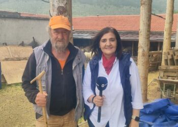 Κοζάνη: Κτηνοτρόφος βρέθηκε πρόσωπο με πρόσωπο με αρκούδα – Τι είπε στο ΕΡΤnews