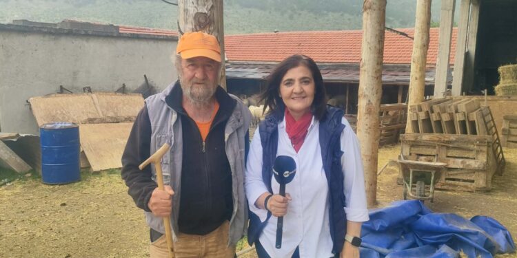 Κοζάνη: Κτηνοτρόφος βρέθηκε πρόσωπο με πρόσωπο με αρκούδα – Τι είπε στο ΕΡΤnews