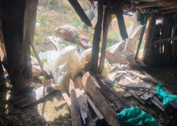 Tρομερή επίθεση αρκούδας σε κτηνοτροφική μονάδα στο Λιβαδερό Σερβίων-Νεκρά 15 πρόβατα-Διέλυσε σχεδόν το μαντρί- Φωτογραφίες