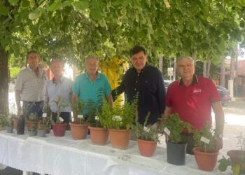 Εράτυρα: Πραγματοποιήθηκε η εκδήλωση για την γνωριμία με αρωματικά και φαρμακευτικά φυτά.  Βίντεο και φωτογραφίες