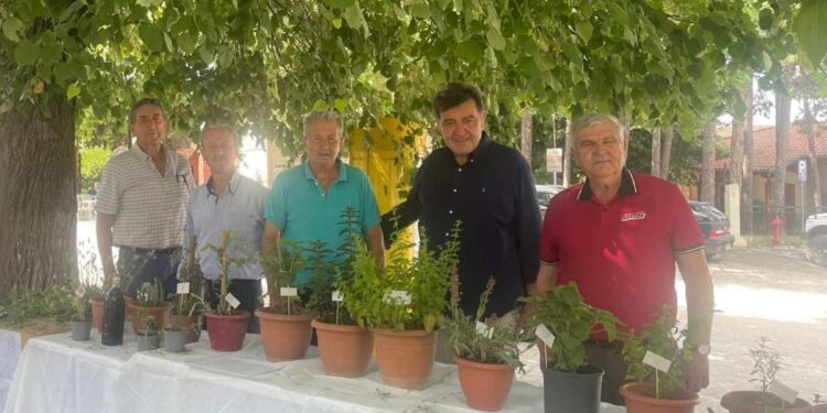 Εράτυρα: Πραγματοποιήθηκε η εκδήλωση για την γνωριμία με αρωματικά και φαρμακευτικά φυτά. Βίντεο και φωτογραφίες