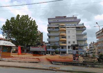 Οικολογική Κίνηση Κοζάνης:  Κομμένα δέντρα ξανά και ξανά
