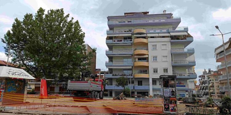 Οικολογική Κίνηση Κοζάνης:  Κομμένα δέντρα ξανά και ξανά
