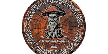 2ο Τετραήμερο Γλυπτικής στο Πάρκο των Μανιταριών