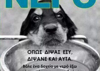 Ο Φιλοζωικός Σύλλογος Σιάτιστας για τον καύσωνα