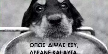 Ο Φιλοζωικός Σύλλογος Σιάτιστας για τον καύσωνα