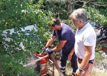 Δήμος Κοζάνης: Συνεχής ο ανεφοδιασμός των ποτιστρών με νερό για τα αδέσποτα ζώα συντροφιάς