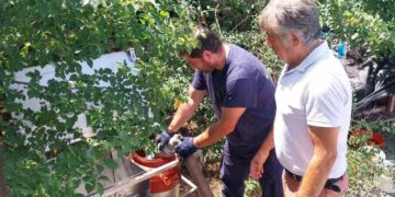 Δήμος Κοζάνης: Συνεχής ο ανεφοδιασμός των ποτιστρών με νερό για τα αδέσποτα ζώα συντροφιάς