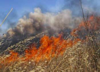 Συνελήφθη γυναίκα για πρόκληση πυρκαγιάς σε ξερά χόρτα