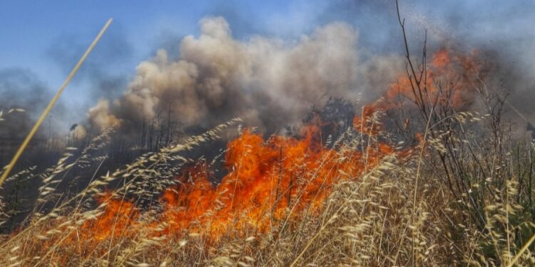 Συνελήφθη γυναίκα για πρόκληση πυρκαγιάς σε ξερά χόρτα