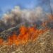 Συνελήφθη γυναίκα για πρόκληση πυρκαγιάς σε ξερά χόρτα