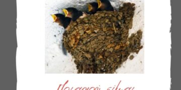 Έκθεση φωτογραφίας στο Δίλοφο Βοΐου