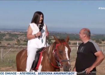 Παγκόσμια μέρα αλόγου: Στα μονοπάτια του Βοΐου. Βίντεο