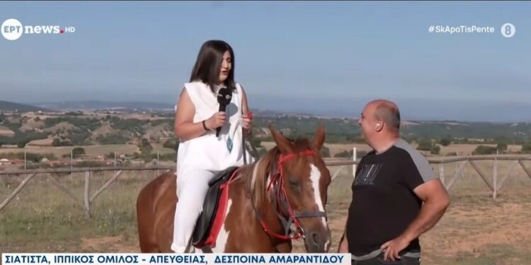 Παγκόσμια μέρα αλόγου: Στα μονοπάτια του Βοΐου. Βίντεο