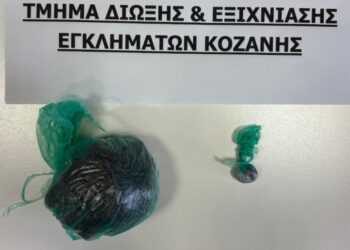 Κοζάνη: Σύλληψη 33χρονου με κάνναβη και κοκαΐνη