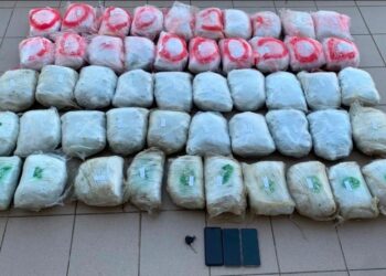 Φλώρινα: Μεγάλη επιτυχία της Αστυνομίας. Σύλληψη με πάνω από 55 κιλά κάνναβη