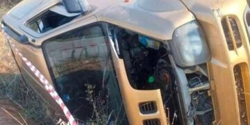Γρεβενά: Ανατροπή αυτοκινήτου έπειτα από σύγκρουση με αγριογούρουνα – Στο νοσοκομείο η οδηγός