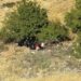 Τρομακτικό τροχαίο στην Κοζάνη: Τύχη βουνό είχαν οι τρεις επιβαίνοντες αυτοκινήτου που έπεσε σε γκρεμό