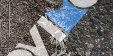 Χιλιάδες πόδια από κοτόπουλα και γαλοπούλες ξεβράστηκαν σε παραλία της Εύβοιας