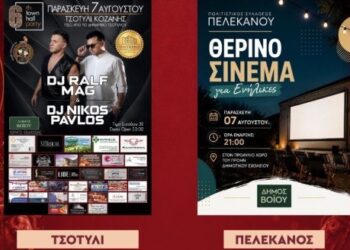 Δήμος Βοΐου: 6th Town Hall Party στο Τσοτύλι, Θερινό Σινεμά στον Πελεκάνο