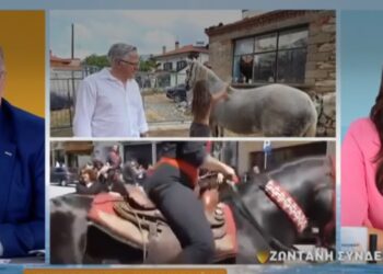 Στον ΑΝΤ1 το Έθιμο των Καβαλάρηδων της Παναγίας στη Σιάτιστα.  Ο Δήμαρχος Βοΐου Χρήστος Ζευκλής στην πρωινή εκπομπή. Βίντεο
