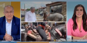 Στον ΑΝΤ1 το Έθιμο των Καβαλάρηδων της Παναγίας στη Σιάτιστα. Ο Δήμαρχος Βοΐου Χρήστος Ζευκλής στην πρωινή εκπομπή. Βίντεο