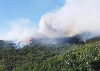 Δασική πυρκαγιά στην Παρασκευή Γρεβενών – Ενισχύθηκαν οι δυνάμεις της Πυροσβεστικής