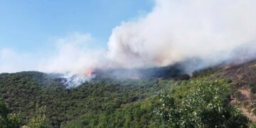 Δασική πυρκαγιά στην Παρασκευή Γρεβενών – Ενισχύθηκαν οι δυνάμεις της Πυροσβεστικής