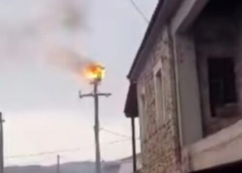 Κεραυνός έπεσε πάνω σε κολώνα ρεύματος με φωλιά πελαργών – Δείτε βίντεο