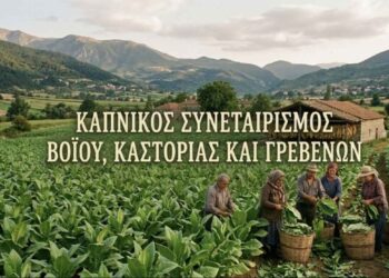 Καπνικός Συνεταιρισμός Βοΐου: Κατεπείγον Αίτημα για τη Στήριξη, Διάσωση και Θεσμική Θωράκιση της Καπνοκαλλιέργειας στη Δυτική Μακεδονία